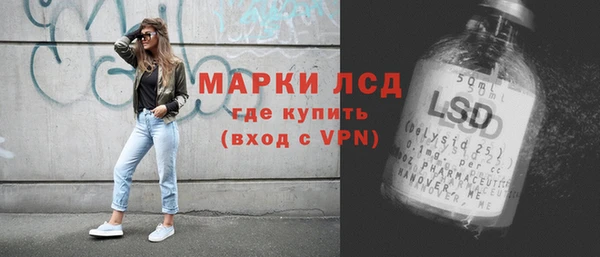 сатива Аркадак