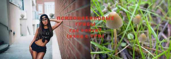 ALPHA PVP Приозерск