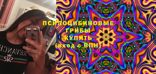 эйфоретик Пролетарск