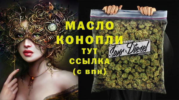 сатива Аркадак