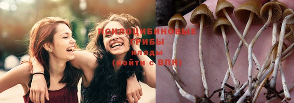 ПСИЛОЦИБИНОВЫЕ ГРИБЫ Протвино
