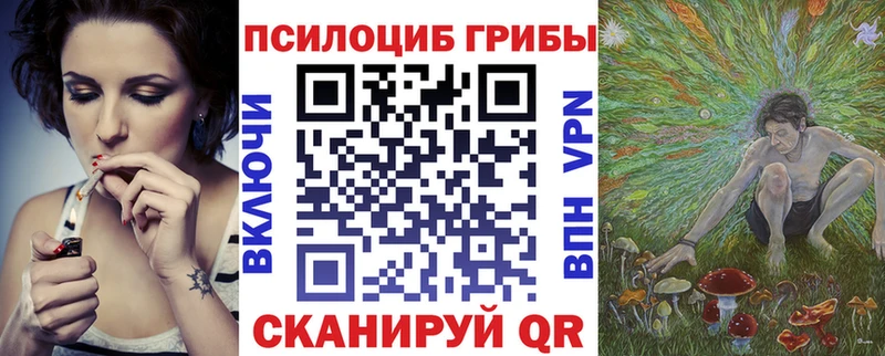 Псилоцибиновые грибы мицелий  hydra как зайти  Георгиевск 